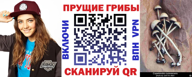 Псилоцибиновые грибы прущие грибы  Киржач 