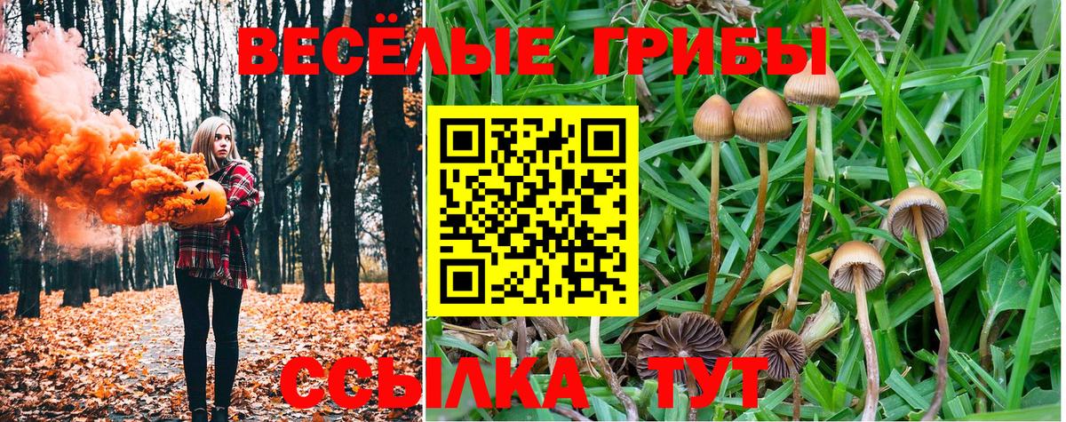 Киржач  Галлюциногенные грибы Cubensis  Псилоцибиновые грибы ЛСД  Вход с VPN 