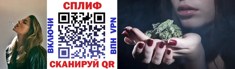 как найти наркотики  Киржач  Конопля OG Kush 